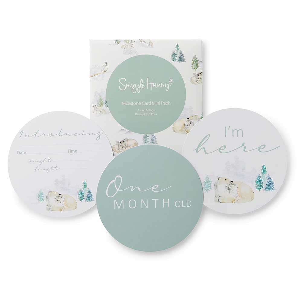 Arctic Reversible Milestone Cards 3 Pack Snuggle Hunny
