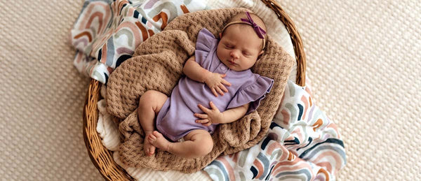 Jacaranda Organic Cotton Rib