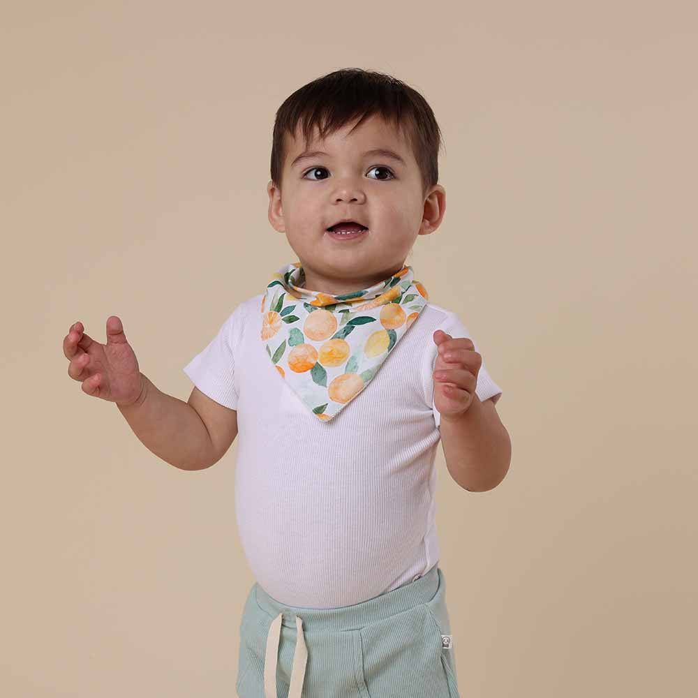 Citrus Squeeze Organic Dribble Bib - View 6