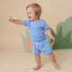 Bluebell Short Sleeve Organic Bodysuit - Thumbnail 8