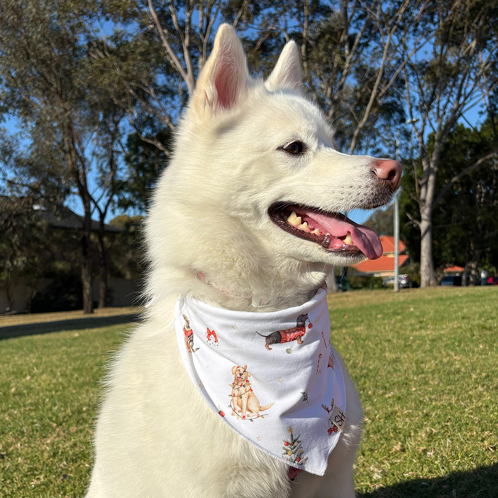 Christmas Pups Dog Bandana - View 7