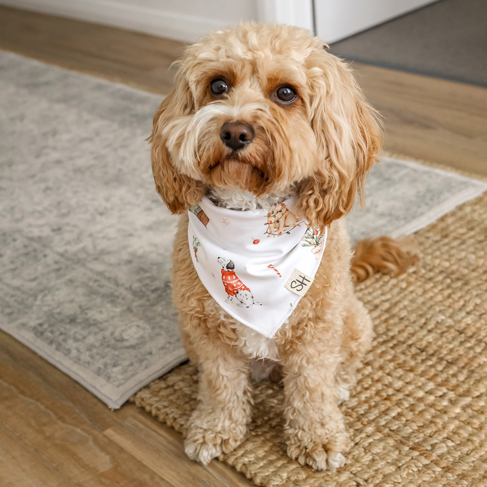 Christmas Pups Dog Bandana - View 5