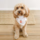 Christmas Pups Dog Bandana - Thumbnail 11
