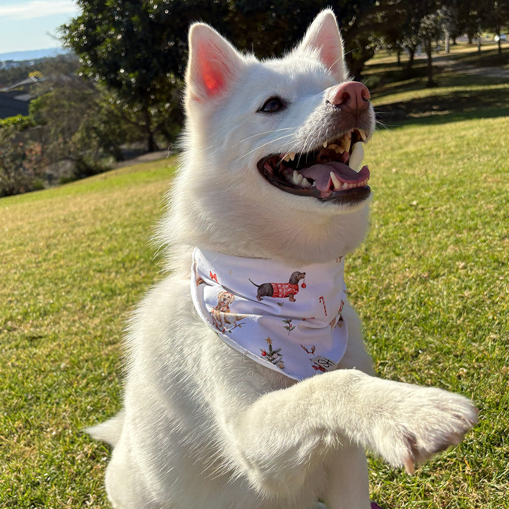 Christmas Pups Dog Bandana - View 14