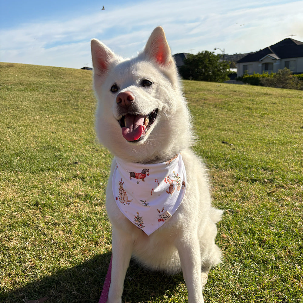 Christmas Pups Dog Bandana - View 1