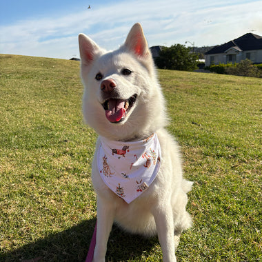 Christmas Pups Dog Bandana | Snuggle Hunny