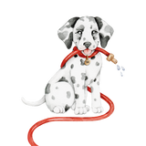 Inspired by vehicles...