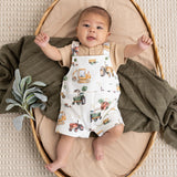 Overalls