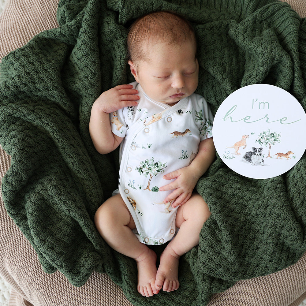 Dog Park Short Sleeve Organic Kimono Bodysuit - View 1