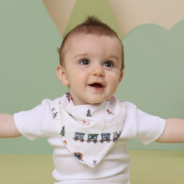 Trains Organic Dribble Bib | Snuggle Hunny