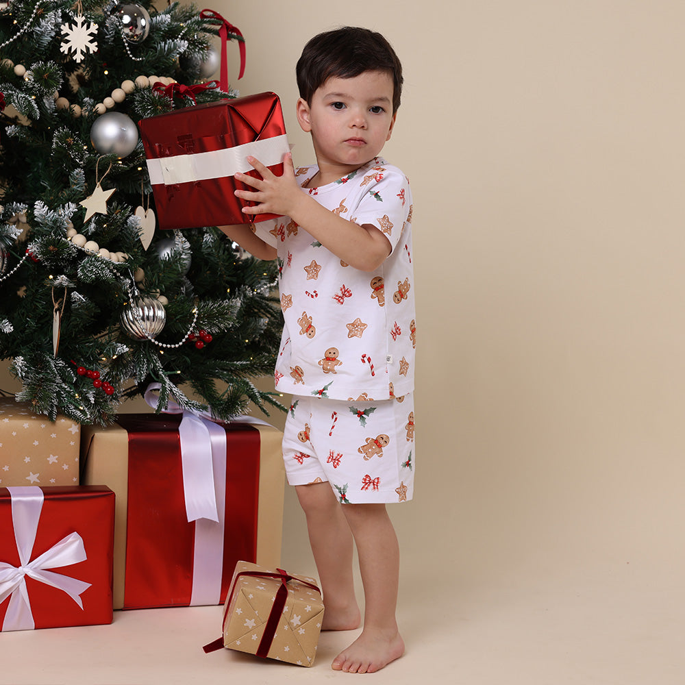 Christmas 2025 Lookbook