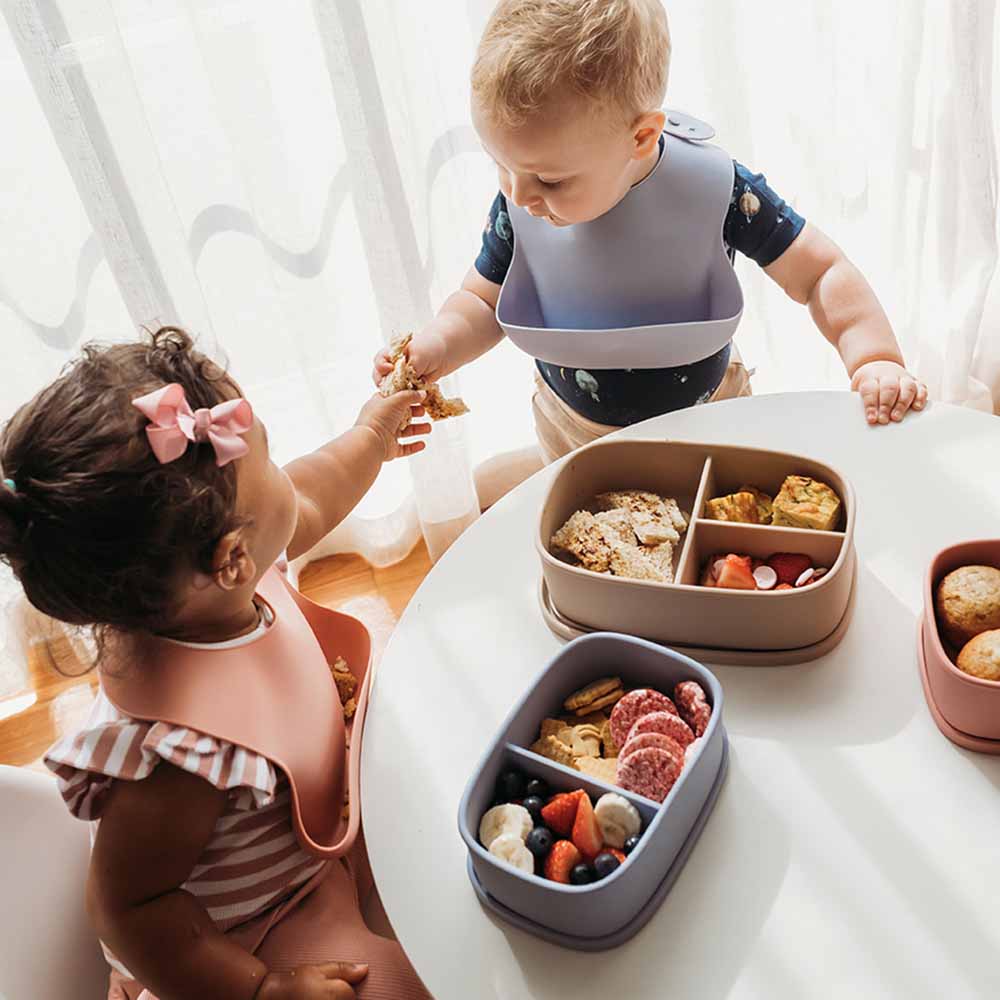Mealtime - Silicone Large Lunch Box Dewkist