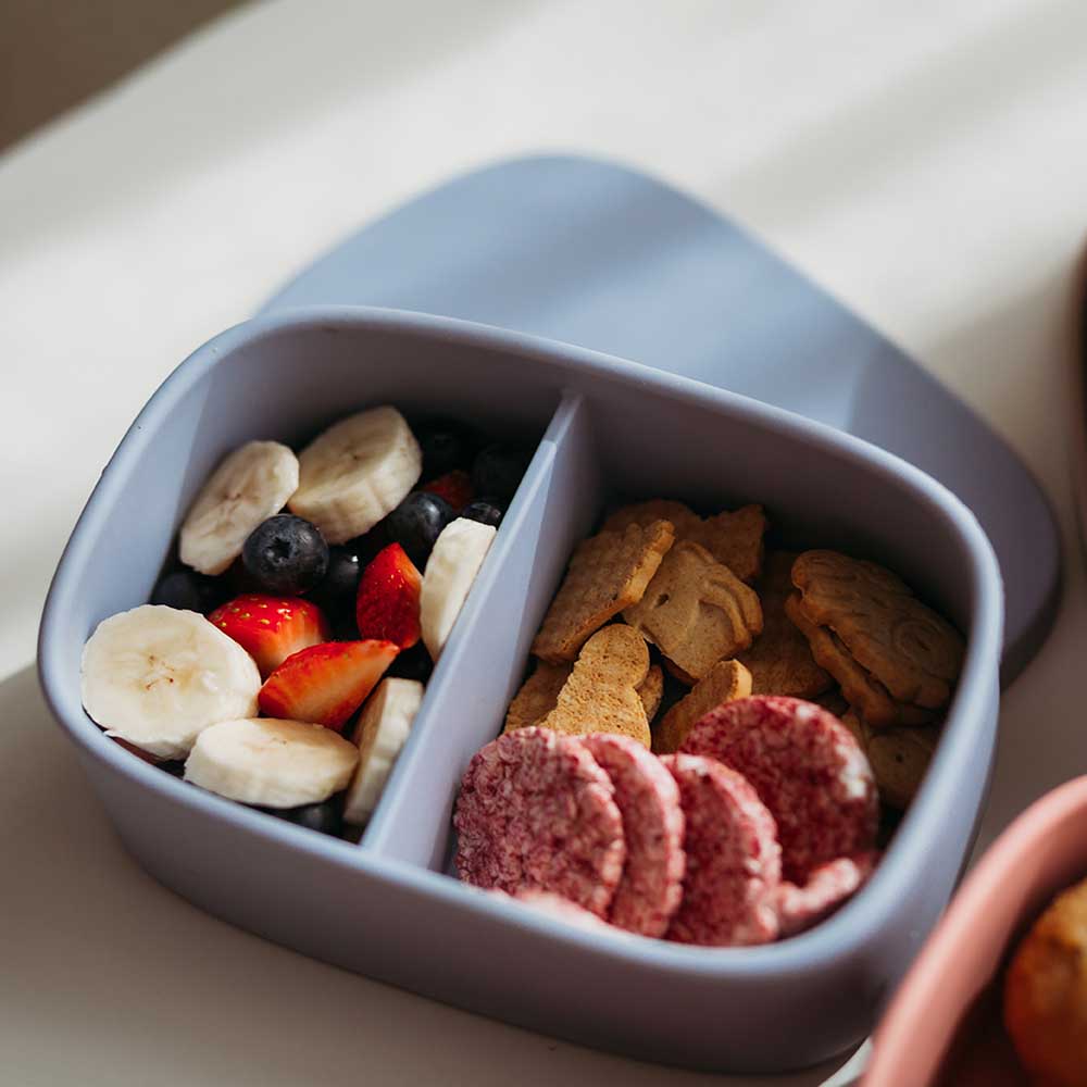 Mealtime - Silicone Medium Lunch Box Dewkist