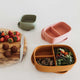 Mealtime - Silicone Medium Lunch Box Rose