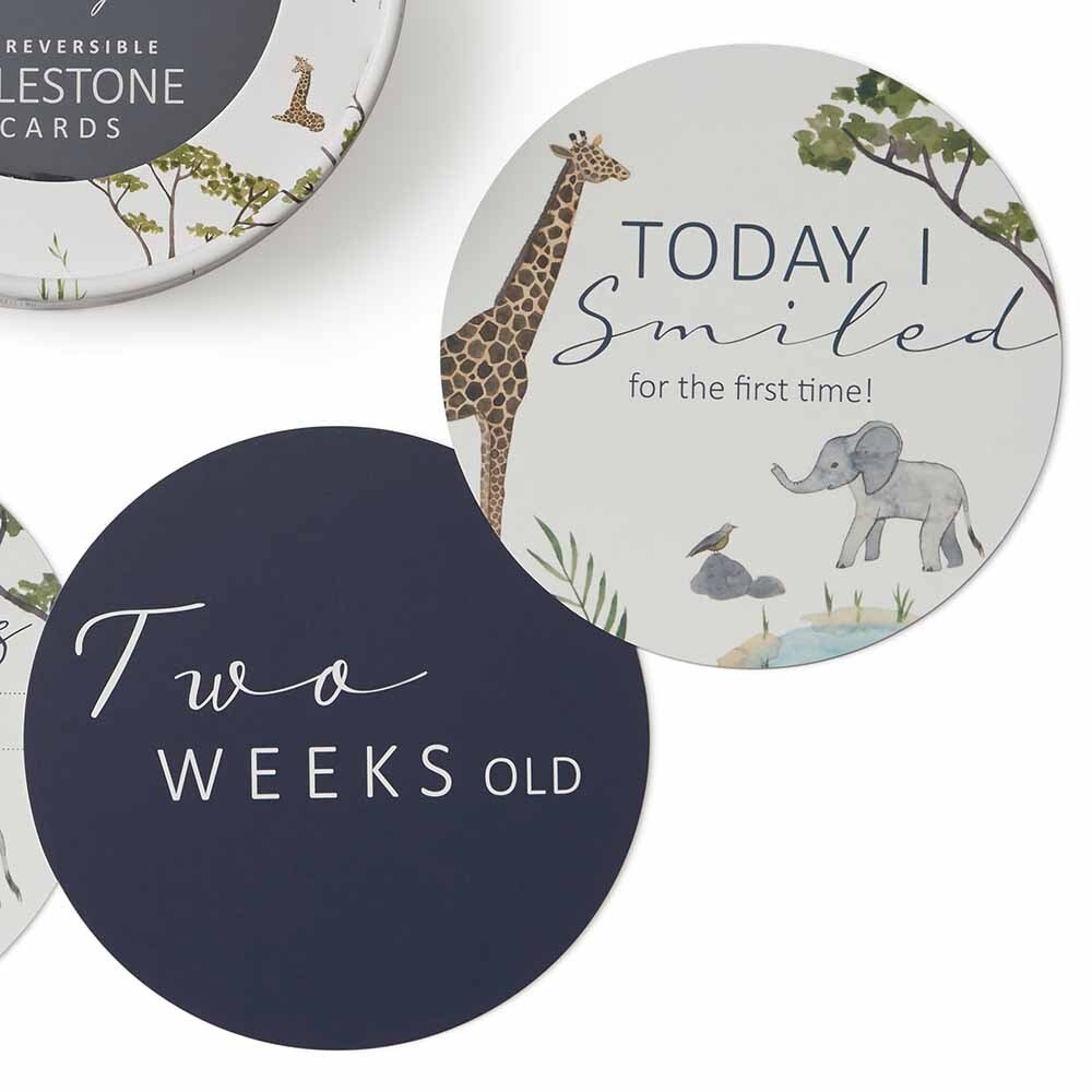 Safari & Navy Reversible Milestone Cards - View 3