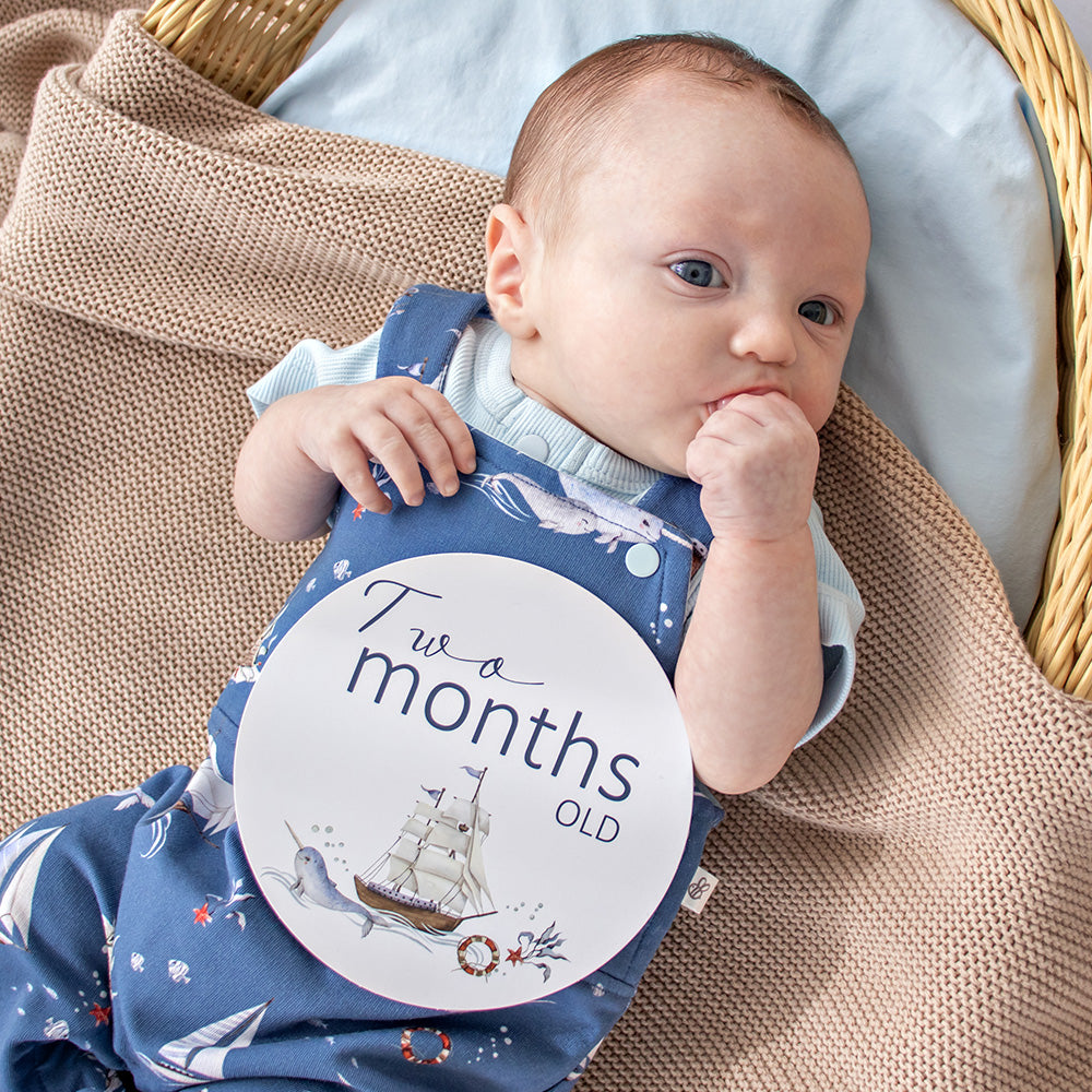 Set Sail & Navy Reversible Milestone Cards - View 4