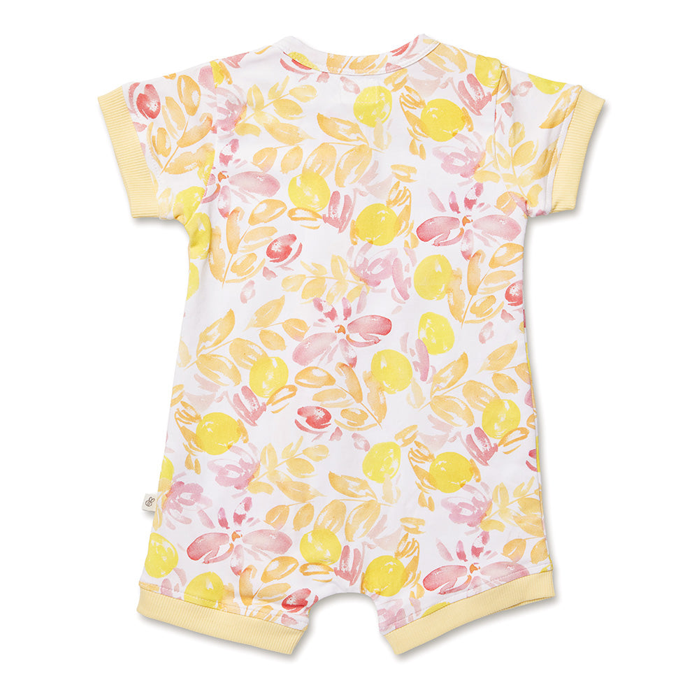 Sofia Organic Snuggle Shortie - View 8