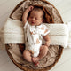 Bears Short Sleeve Organic Bodysuit - Thumbnail 8